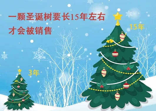 中國最早報(bào)道圣誕節(jié)的竟是《人民日報(bào)》，你不知道的10個(gè)圣誕小知識(shí)